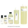Maison Margiela: Jazz Club (M) Type